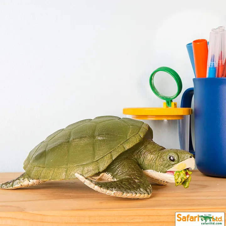 Фигурка черепахи Safari Ltd Атлантическая ридлея, фото 4