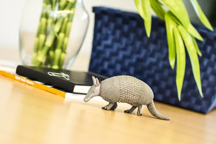 Фигурка Safari Ltd Броненосец, фото 4