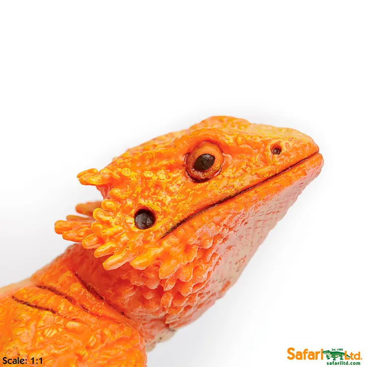 Фигурка ящерицы Safari Ltd Бородатая агама, фото 3