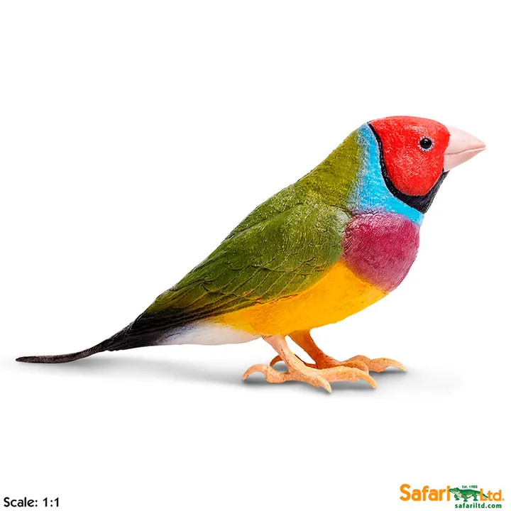 Фигурка птицы Safari Ltd Гульдова амадина, фото 2