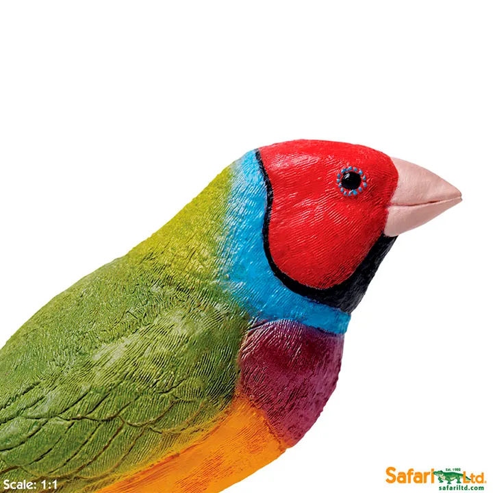 Фигурка птицы Safari Ltd Гульдова амадина, фото 3