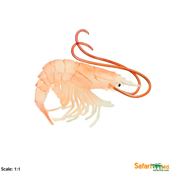 Фигурка Safari Ltd Креветка, фото 2