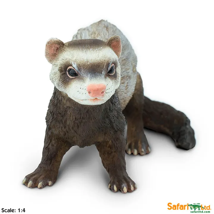 Фигурка Safari Ltd Хорёк, фото 2