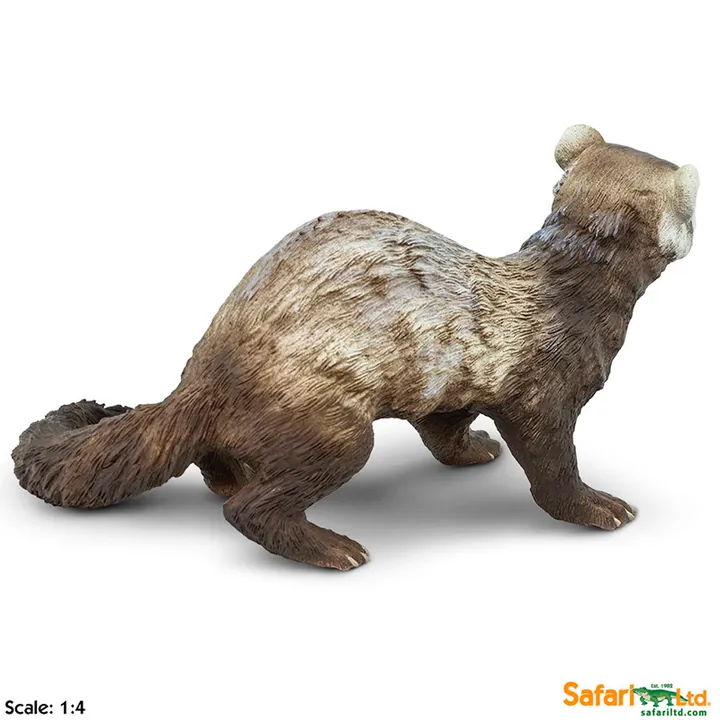 Фигурка Safari Ltd Хорёк, фото 3