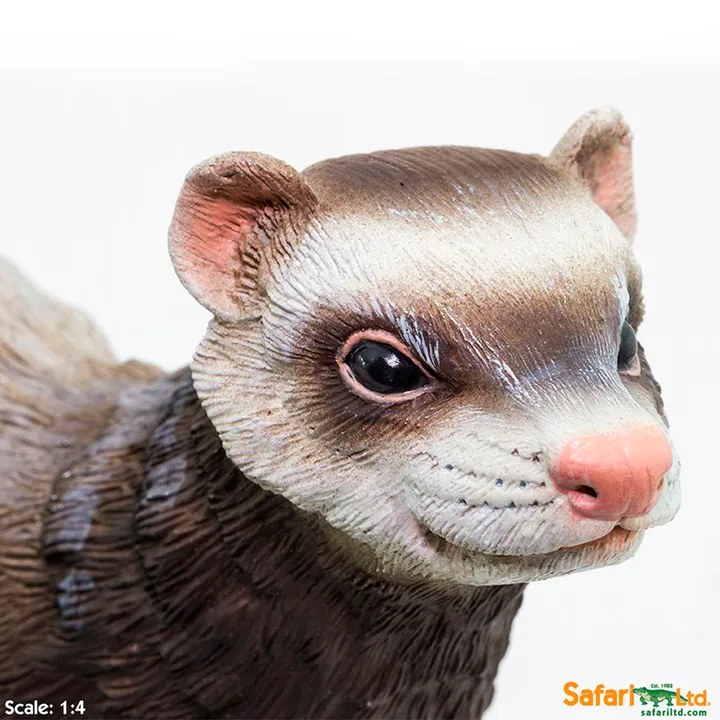Фигурка Safari Ltd Хорёк, фото 4