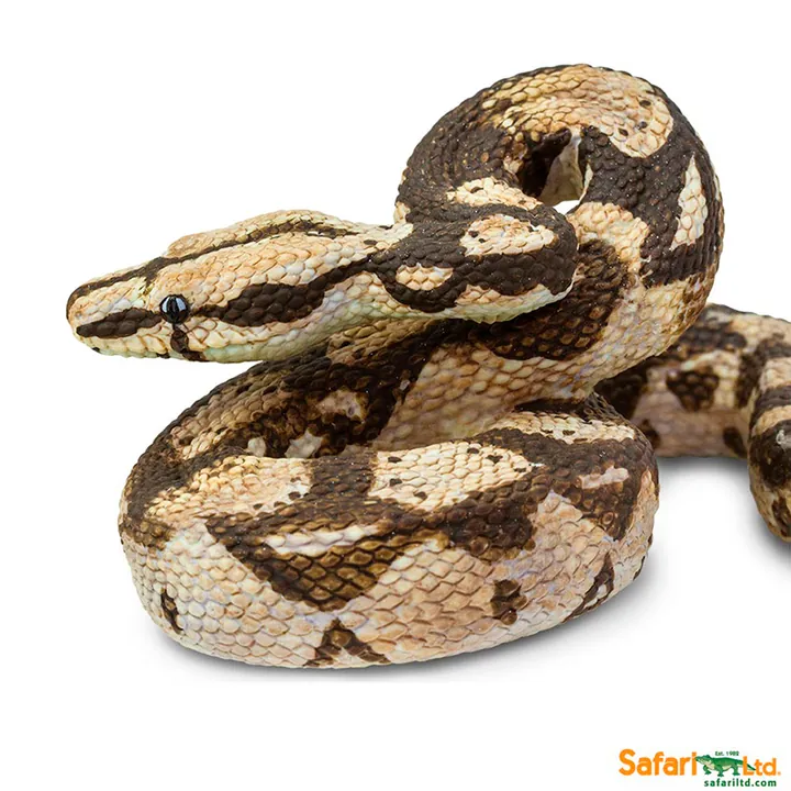 Фигурка змеи Safari Ltd Обыкновенный удав, фото 5