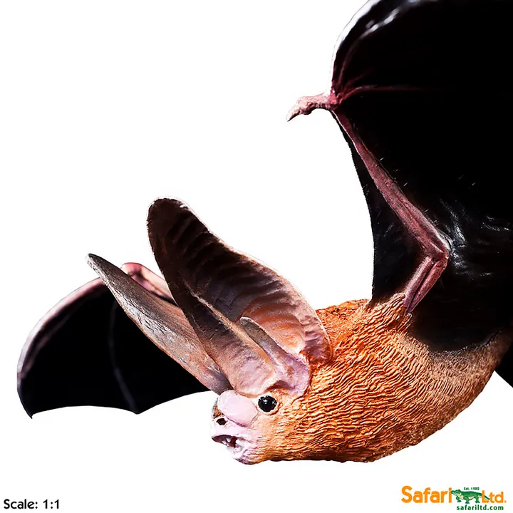 Фигурка Safari Ltd Летучая мышь ушан Таунсенда, фото 5