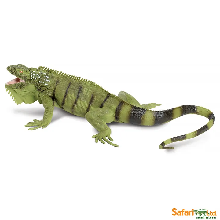 Фигурка ящерицы Safari Ltd Зелёная игуана, арт. 267729