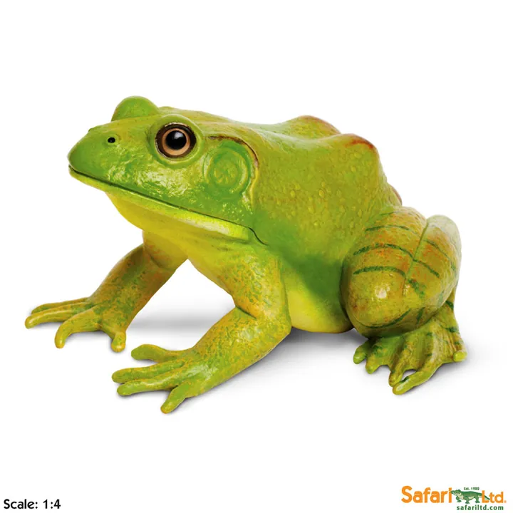 Фигурка лягушки Safari Ltd Лягушка-бык, арт. 268729