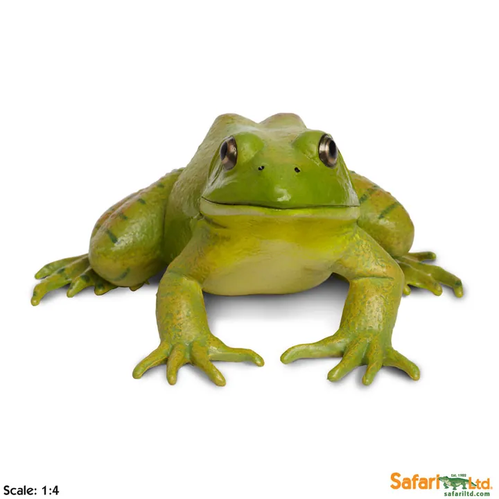 Фигурка лягушки Safari Ltd Лягушка-бык, фото 2