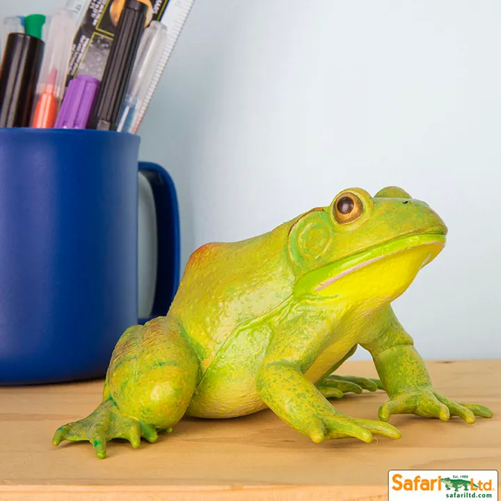 Фигурка лягушки Safari Ltd Лягушка-бык, фото 5