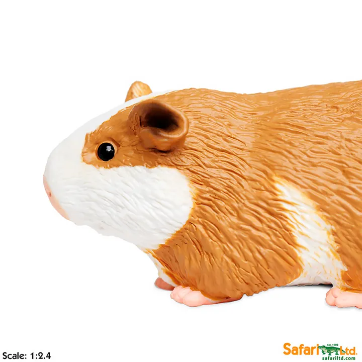 Фигурка Safari Ltd Морская свинка, фото 3