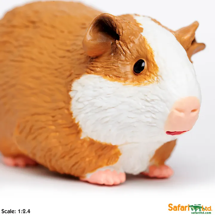 Фигурка Safari Ltd Морская свинка, фото 4
