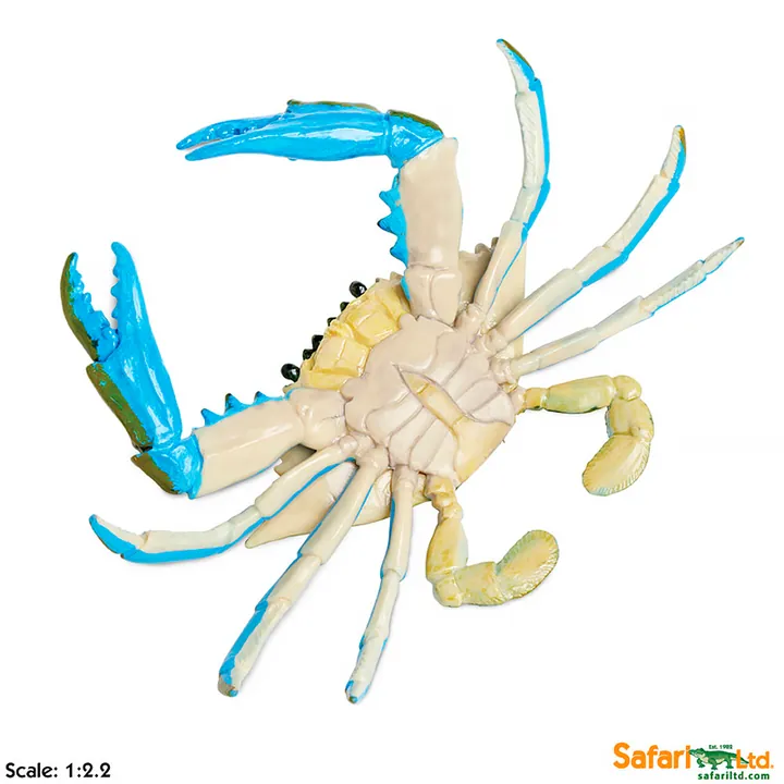 Фигурка Safari Ltd Голубой краб, фото 3