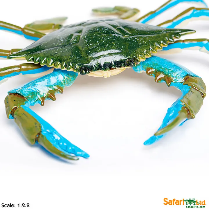 Фигурка Safari Ltd Голубой краб, фото 4