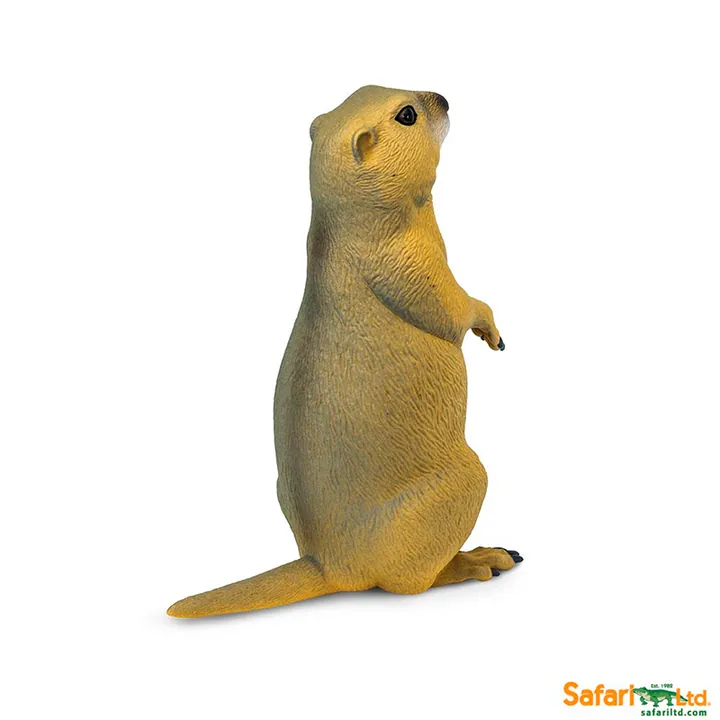 Фигурка Safari Ltd Луговая собачка, фото 5