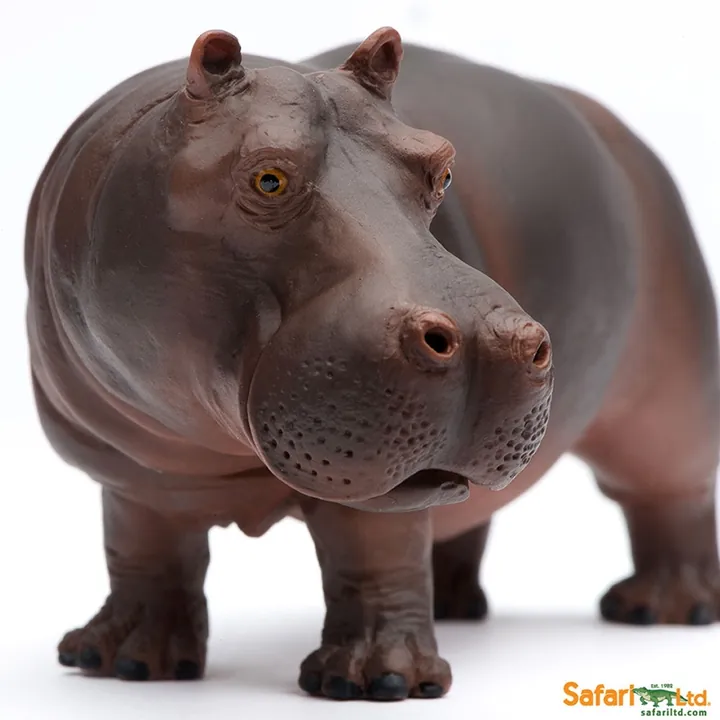 Фигурка Safari Ltd Обыкновенный бегемот, арт. 270429