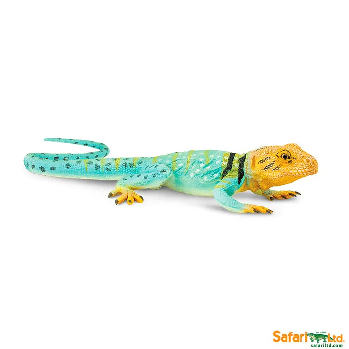 Фигурка ящерицы Safari Ltd Ошейниковая игуана, фото 2