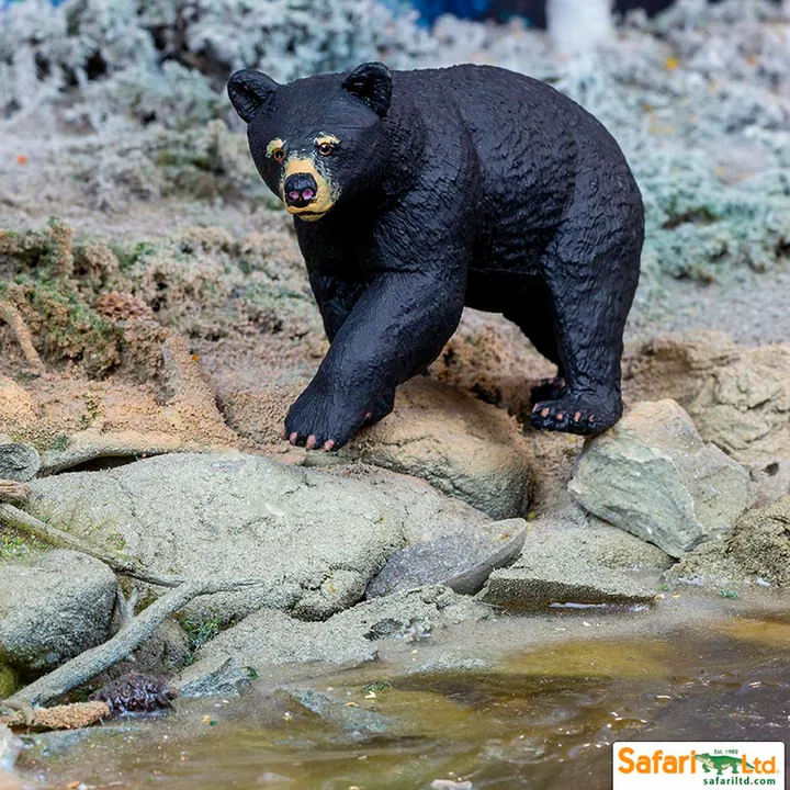 Фигурка Safari Ltd Медведь барибал, фото 3