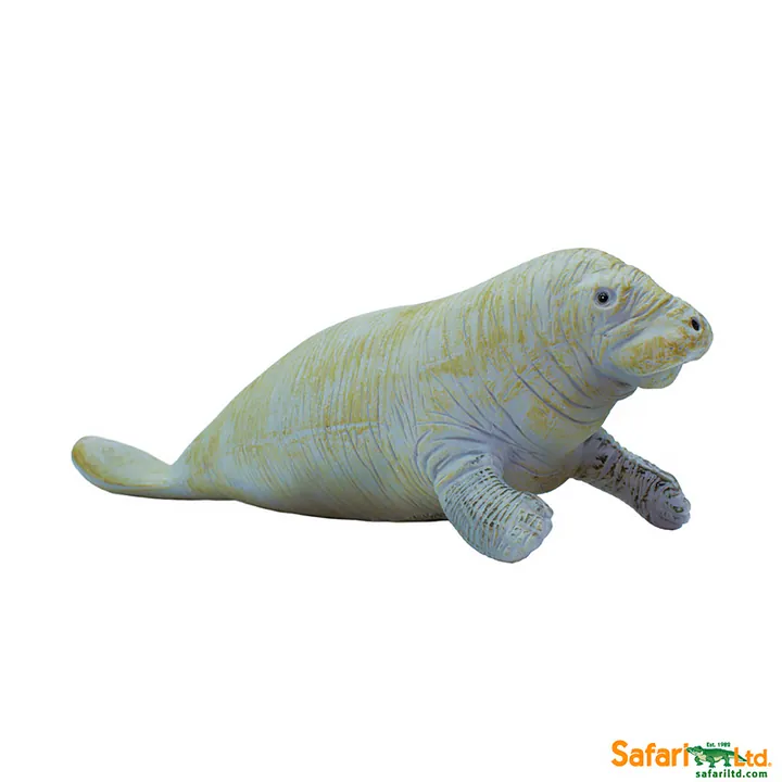 Фигурка Safari Ltd Ламантин, фото 4