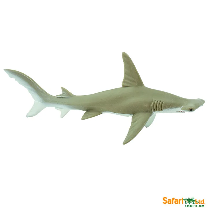 Фигурка Safari Ltd Акула-молот, фото 3