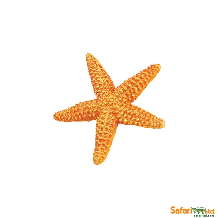 Фигурка Safari Ltd Морская звезда, арт. 276829