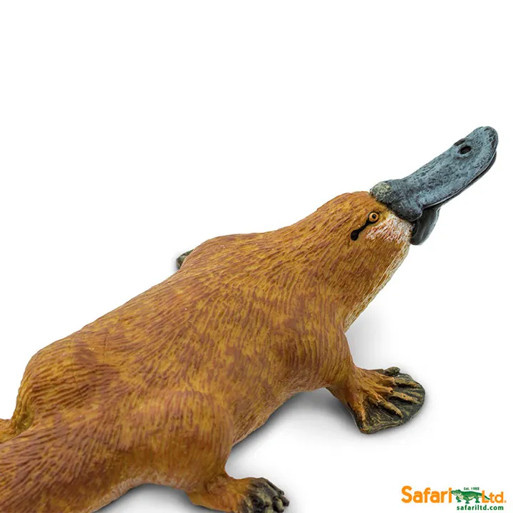 Фигурка Safari Ltd Утконос, фото 3