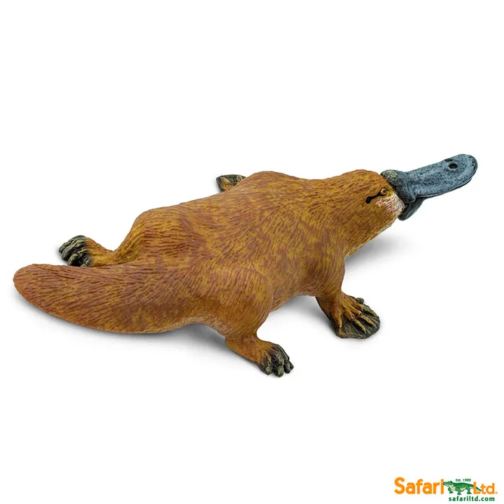 Фигурка Safari Ltd Утконос, фото 4