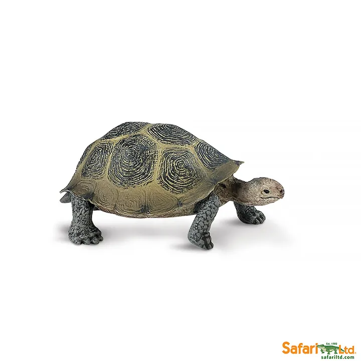 Фигурка черепахи Safari Ltd Пустынный западный гофер, арт. 295329