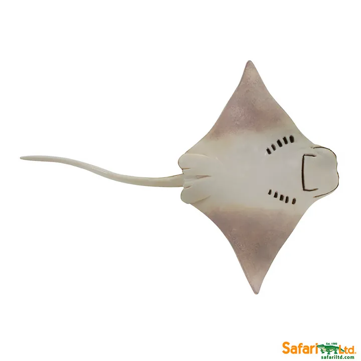 Фигурка ската Safari Ltd Восточноамериканский бычерыл, фото 3