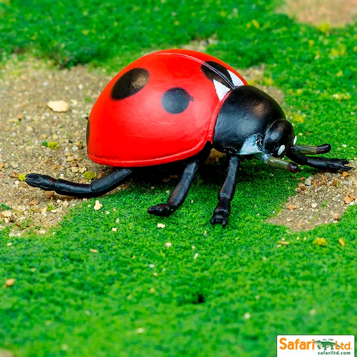 Фигурка насекомого Safari Ltd Божья коровка, фото 2