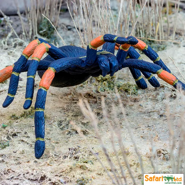 Фигурка паука Safari Ltd Тарантул, фото 4