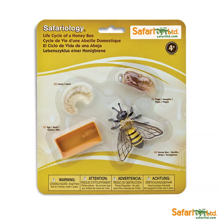 Набор фигурок Safari Ltd Жизненный цикл пчелы, арт. 622716