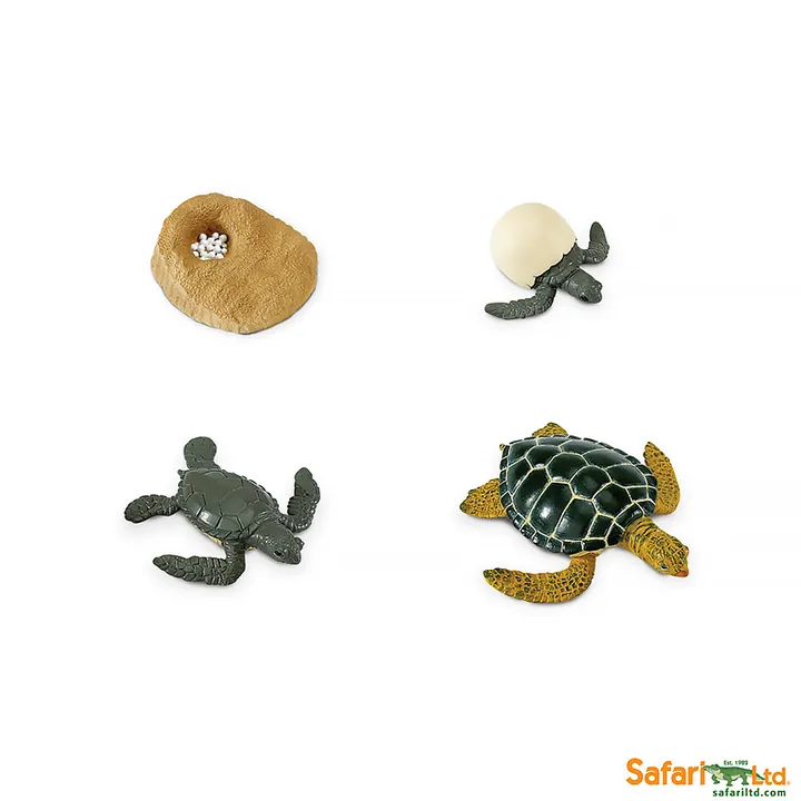 Набор фигурок Safari Ltd Жизненный цикл зелёной морской черепахи, фото 2