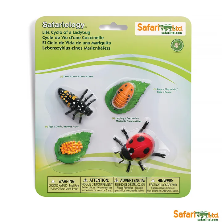 Набор фигурок Safari Ltd Жизненный цикл божьей коровки, арт. 662716