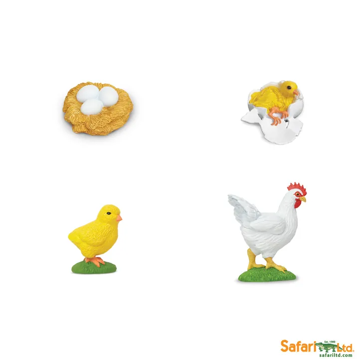 Набор фигурок Safari Ltd Жизненный цикл курицы, фото 2