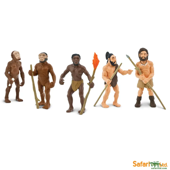 Обучающий набор фигурок Safari Ltd Эволюция человека, арт. 663816