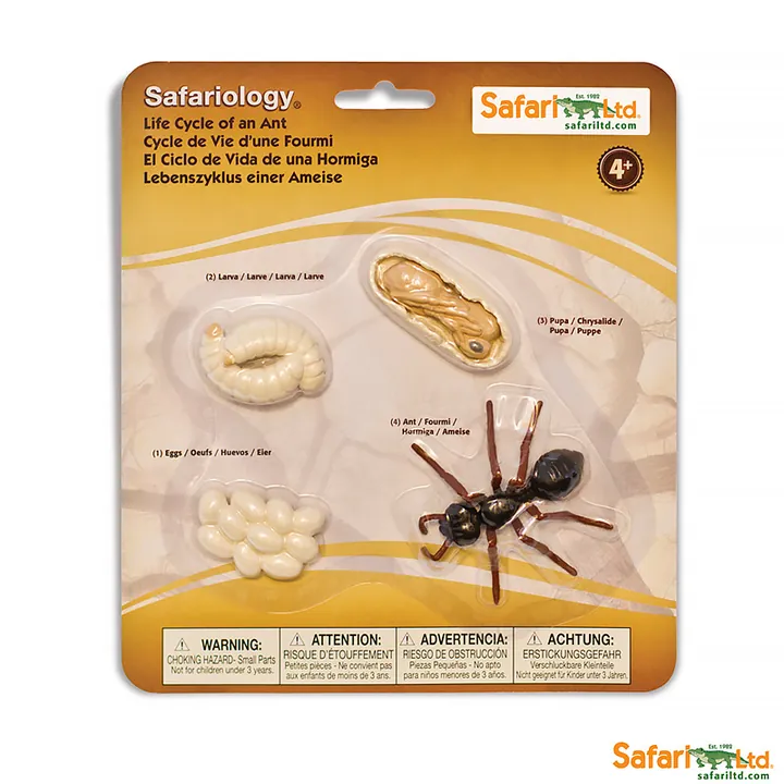 Набор фигурок Safari Ltd Жизненный цикл муравья, арт. 663916