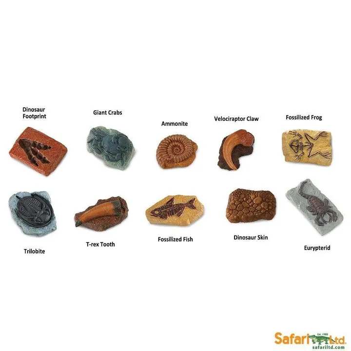 Набор фигурок Safari Ltd Древние окаменелости, фото 2