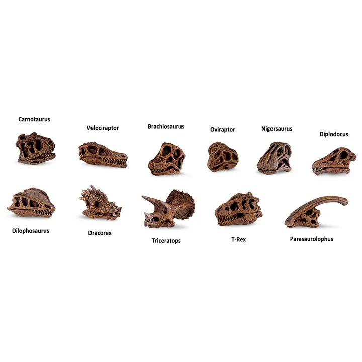 Набор фигурок Safari Ltd Черепа динозавров, фото 2