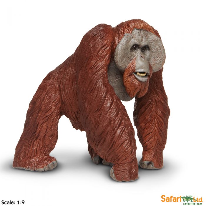 Фигурка обезьяны Safari Ltd Калимантанский орангутан  XL
