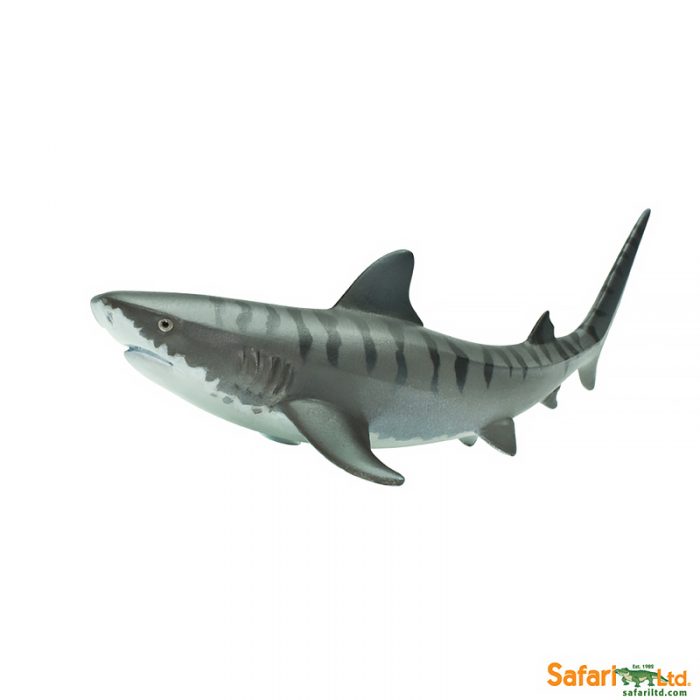 Фигурка Safari Ltd Тигровая акула