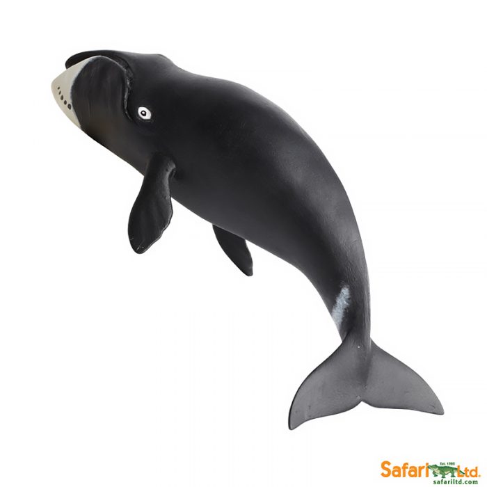 Фигурка Safari Ltd Гренландский кит