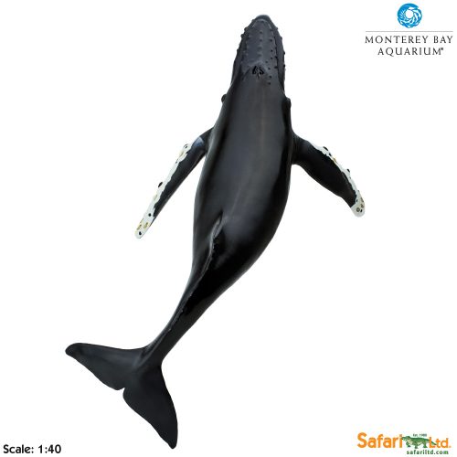 Фигурка Safari Ltd Горбатый кит  XL