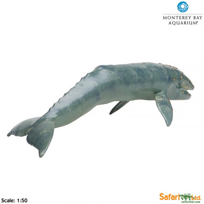Фигурка Safari Ltd Серый кит  XL