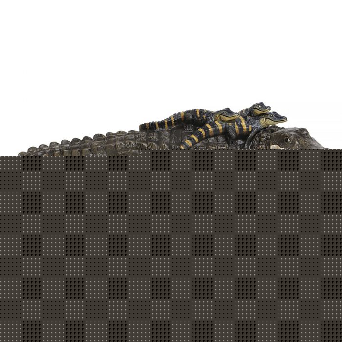 259629