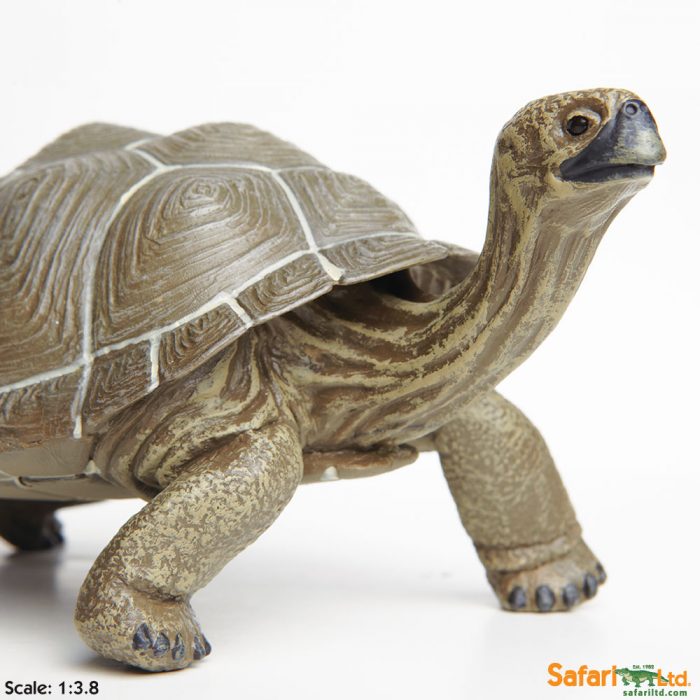 Фигурка Safari Ltd Сухопутная черепаха  XL