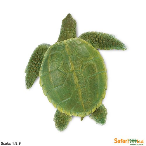 Фигурка черепахи Safari Ltd Ридли Кемп  XL