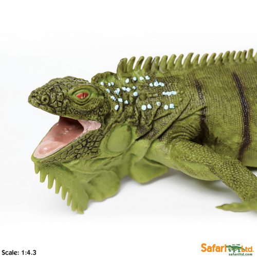 Фигурка ящерицы Safari Ltd Зеленая игуана  XL