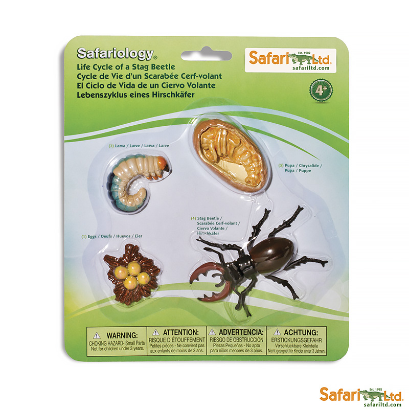 Купить Набор фигурок Safari Ltd Жизненный цикл жука-оленя в фирменном интернет-магазине по лучшей цене. 661416